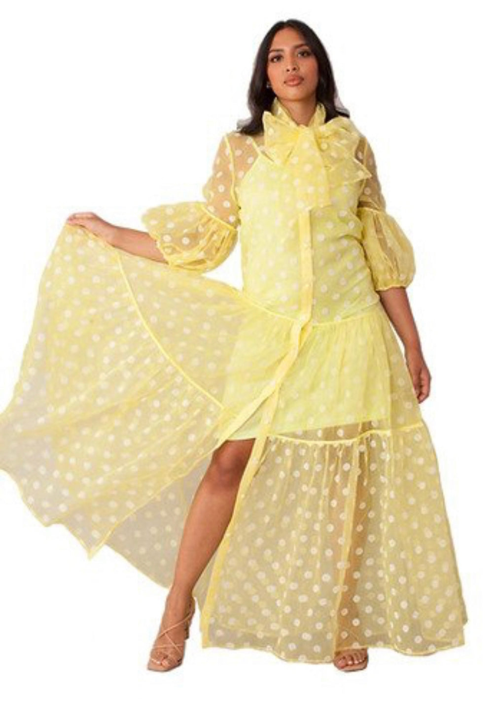 Polka Dot Sheer Dress