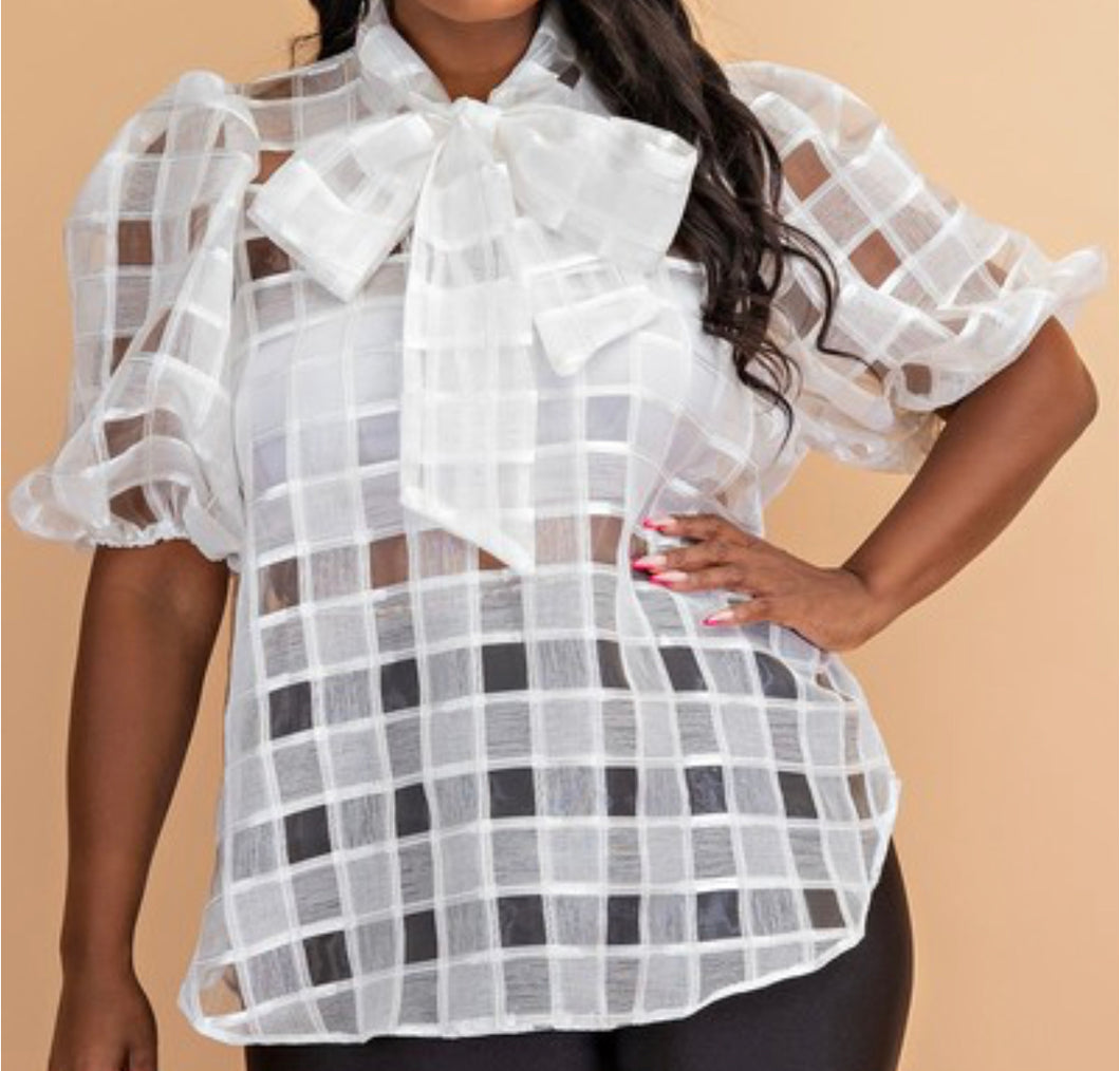 Sheer Puff Sleeve Top